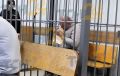Обвиняемый в убийстве директора колледжа под Тулой отправится на СВО