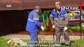 Газовики на экскаваторах приезжают к должникам в Туле отключать газ