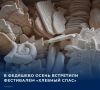В Федяшево весело и интересно встретили осень и завершили летний сезон