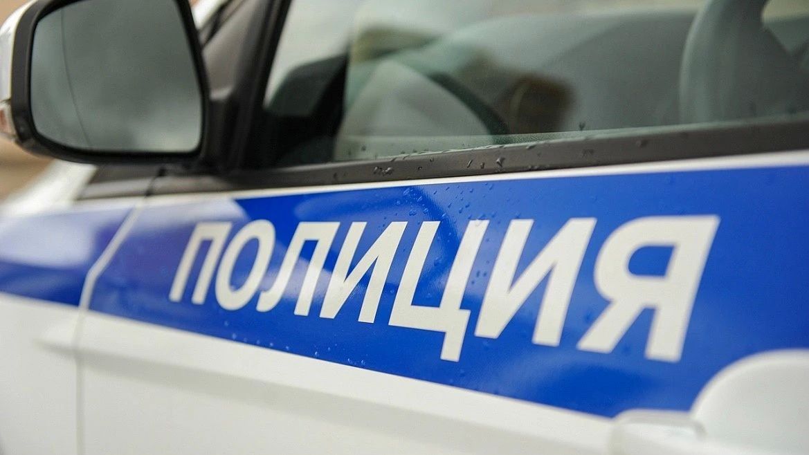 В Туле сотрудники полиции раскрыли кражу из строительного супермаркета