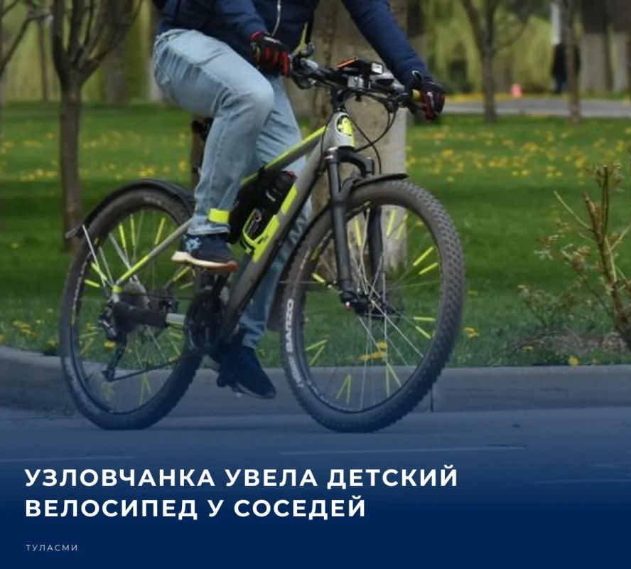 Жительница районного центра Тульской области уже вернула похищенное и повинилась