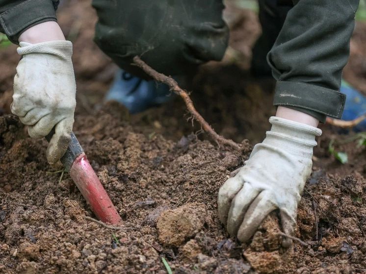 На месте древнего Куликова поля найден наконечник копья воина