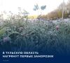 Первые с начала осени заморозки ожидаются ночью и утром 9 сентября