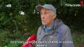 В Тульской области составили карту самых грибных зон