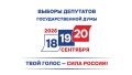Избиратели, которые в дни голосования по уважительной причине не смогут прийти на избирательные участки (по состоянию здоровья, инвалидности, в связи с необходимостью ухода за лицами, в этом нуждающимися, или по иным...