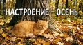 Осенняя хандра или депрессия?