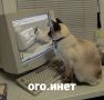 Интернет охватит 99% жителей Тульской области к 2036 году