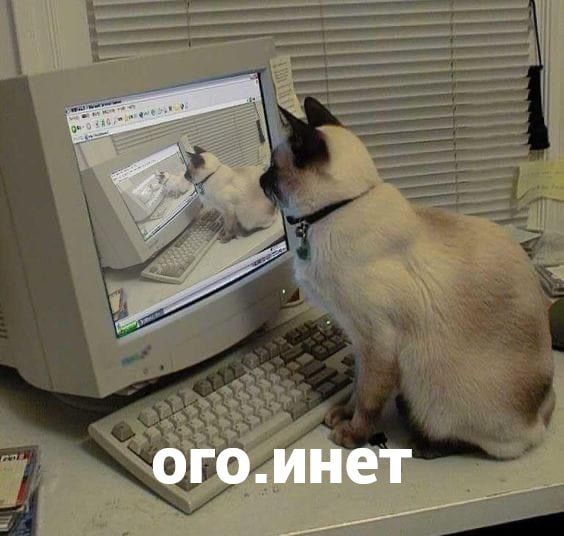 Интернет охватит 99% жителей Тульской области к 2036 году