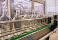 На тульском заводе могут начать разливать виски Dewar’s