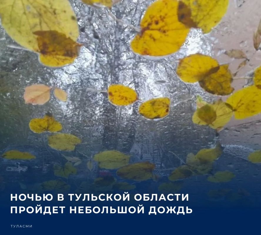 Синоптики прогнозируют небольшие осадки в виде дождя в некоторых районах Тульской области ночью 15 сентября