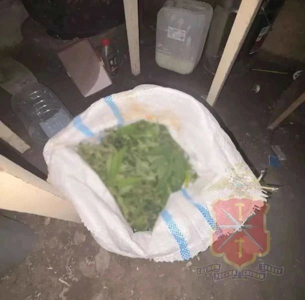 Полкило марихуаны в подвале — житель Куркино попался Полкило марихуаны в подвале — житель Куркино попался