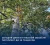 15 сентября в Туле и области будет облачно с прояснениями