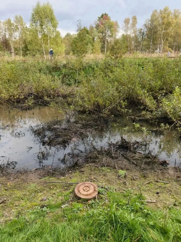 В районе станции Тесницкое под Тулой обнаружили противотанковую мину времен Великой Отечественной войны