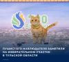 #Выборы2026. Рыжий красавец пришел на избирательный участок ДК им. В.С. Бондаря в городе Алексине