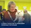 #Выборы2026. Первый день выборов в Государственную Думу в Воловском районе проходит оживленно