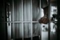 В Туле арестовали 22-летнего наркосбытчика из Таджикистана