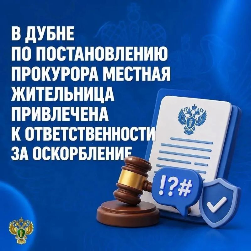 Прокуратура Дубенского района Тульской области провела проверку по обращению местной жительницы об унижении ее чести и достоинства