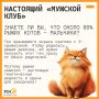 Сегодня отмечается День рыжих котов