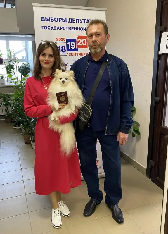 Пушистые наблюдатели, четвероногие участники выборов, шерстяные сопровождающие Пушистые наблюдатели, четвероногие участники выборов, шерстяные сопровождающие
