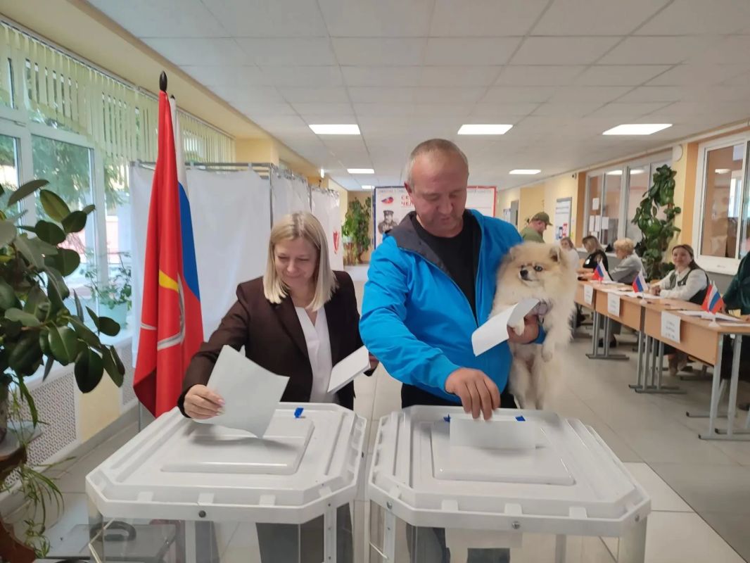 Пушистые наблюдатели, четвероногие участники выборов, шерстяные сопровождающие Пушистые наблюдатели, четвероногие участники выборов, шерстяные сопровождающие