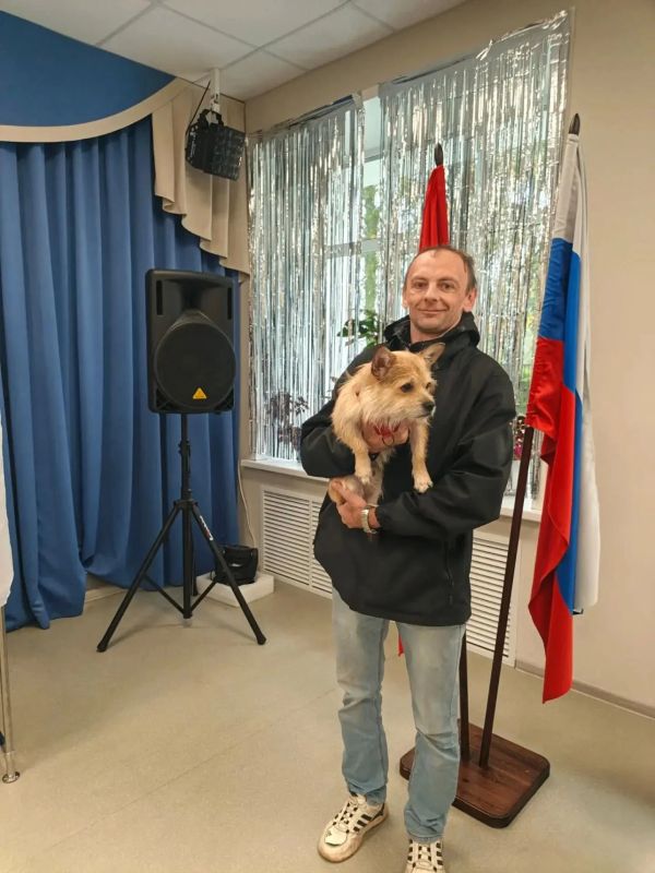 Пушистые наблюдатели, четвероногие участники выборов, шерстяные сопровождающие Пушистые наблюдатели, четвероногие участники выборов, шерстяные сопровождающие