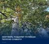 Синоптики прогнозируют, что сегодня 19 сентября, в тульском регионе будет облачно с прояснением