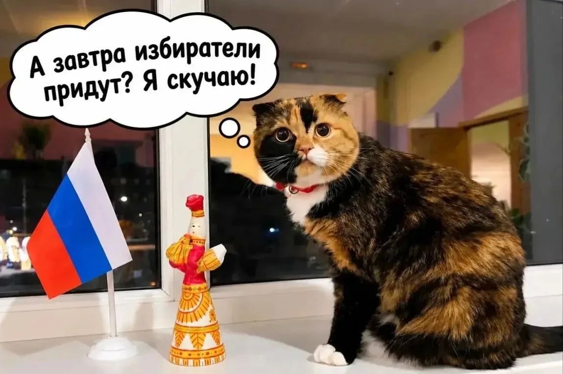 Пушистые наблюдатели, четвероногие участники выборов, шерстяные сопровождающие Пушистые наблюдатели, четвероногие участники выборов, шерстяные сопровождающие