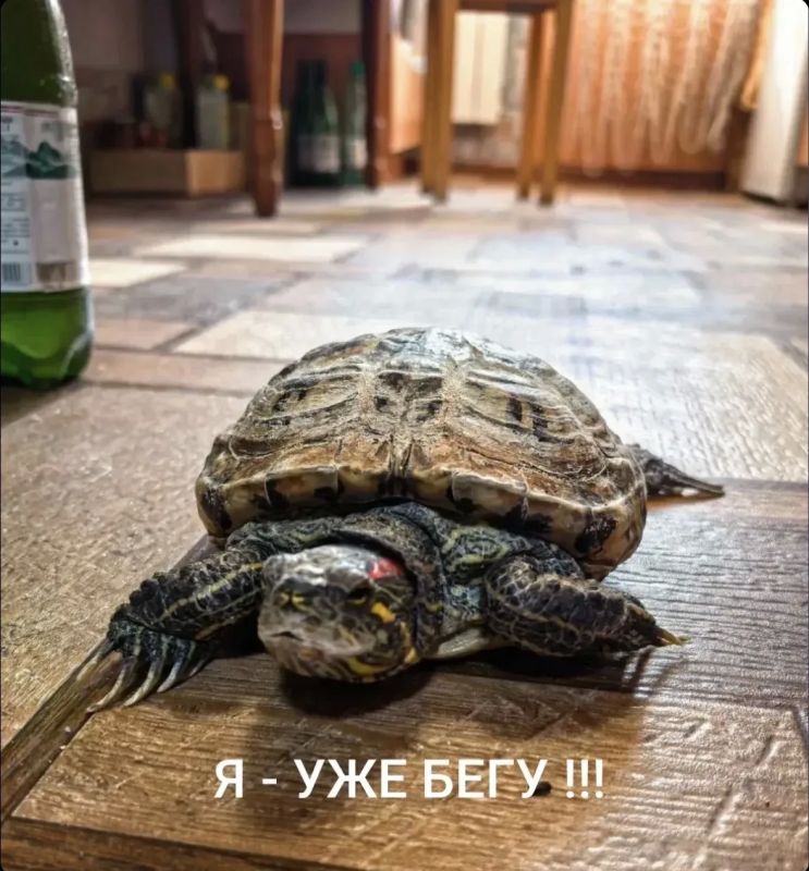 Избиратели делятся на два типа ТИК Узловского района напоминает, что голосование продлится еще 2 дня Избиратели делятся на два типа ТИК Узловского района напоминает, что голосование продлится еще 2 дня