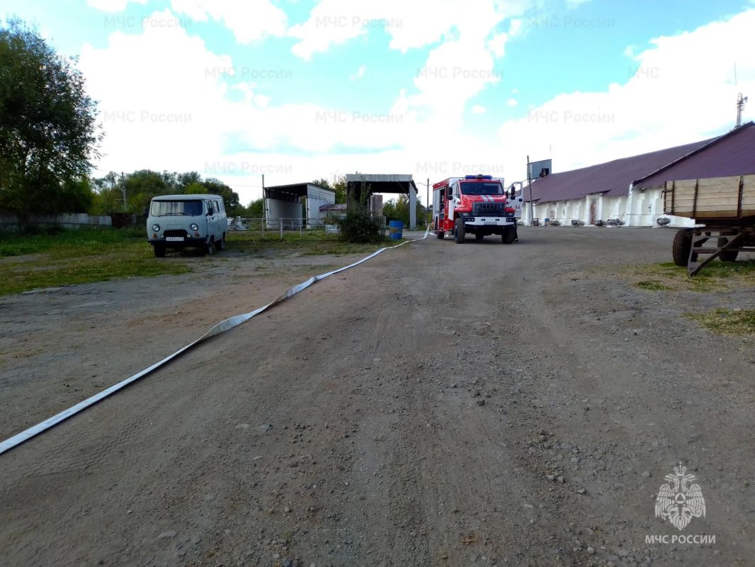 В Арсеньево спасатели провели пожарно-тактические учения в здании хлебоприемного предприятия В Арсеньево спасатели провели пожарно-тактические учения в здании хлебоприемного предприятия