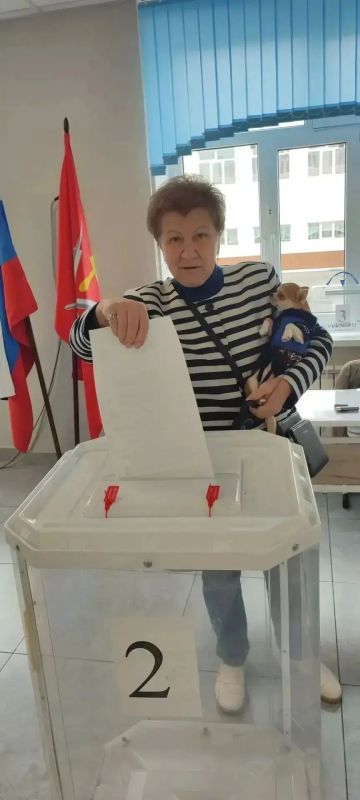 В Тульской области явка избирателей на 10.00 воскресенья оставила 39,11% В Тульской области явка избирателей на 10.00 воскресенья оставила 39,11%