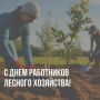 Дмитрий Миляев: Сегодня мы чествуем тех, кто стоит на страже «зеленых легких» Тульской области