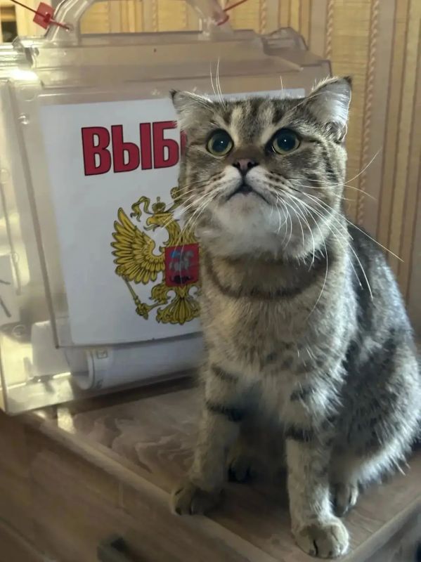В Тульской области явка избирателей на 18.00 воскресенья составила 48,76% В Тульской области явка избирателей на 18.00 воскресенья составила 48,76%