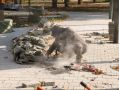 В общественном пространстве на пересечении Оборонной и Староникитской улиц в Туле уложена тротуарная плитка, установлено освещение, размещены скамейки и урны, создана входная группа, посвящённая памятным датам, и облицован...