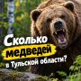 Сколько медведей обитают в Тульской области?