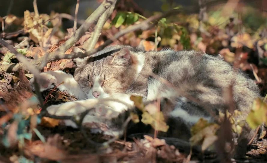 Турист, приезжающий в Тульскую область, — кто он?