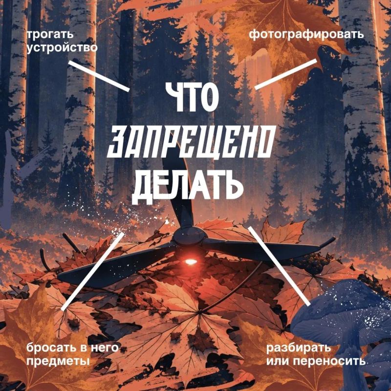 Опаснее мухомора. В лесу можно найти не только грибы, но и беспилотные летательные аппараты Опаснее мухомора. В лесу можно найти не только грибы, но и беспилотные летательные аппараты