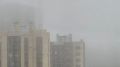 Ночью и утром 28 сентября, вплоть до 09:00, на отдельных участках дорог Тульской области ожидается плотный туман