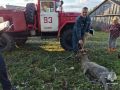 В Одоевском районе спасли козла, упавшего в колодец