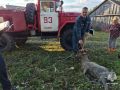 В Одоевском районе спасатели вытащили козла из колодца
