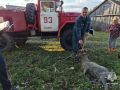 Под Одоевом спасатели вытащили козла из колодца