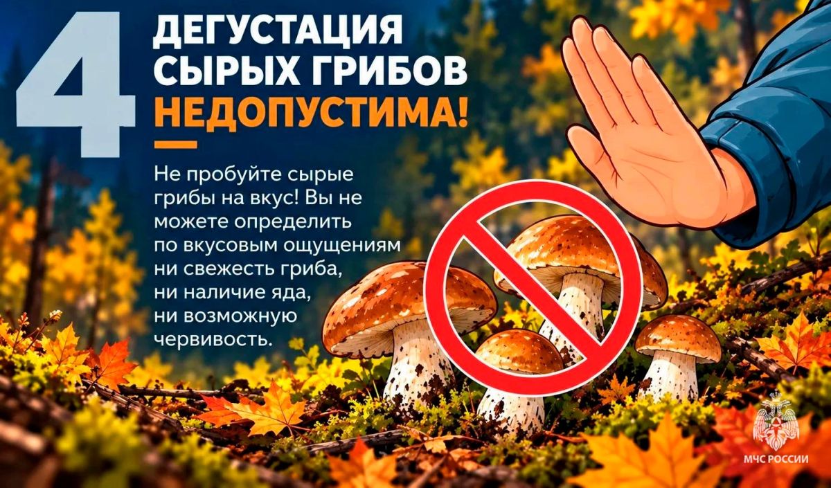 #СоветМЧС. Безопасной «тихой охоты»! В Тульской области стоит тёплая осенняя погода и продолжается сезон активного сбора грибов, а значит, многие отправляются в лес #СоветМЧС. Безопасной «тихой охоты»! В Тульской области стоит тёплая осенняя погода и продолжается сезон активного сбора грибов, а значит, многие отправляются в лес