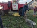 Добрых новостей вам с утра