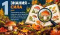 #СоветМЧС. Безопасной «тихой охоты»! В Тульской области стоит тёплая осенняя погода и продолжается сезон активного сбора грибов, а значит, многие отправляются в лес