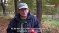 Погода меняет поведение насекомых: к чему готовиться тулякам