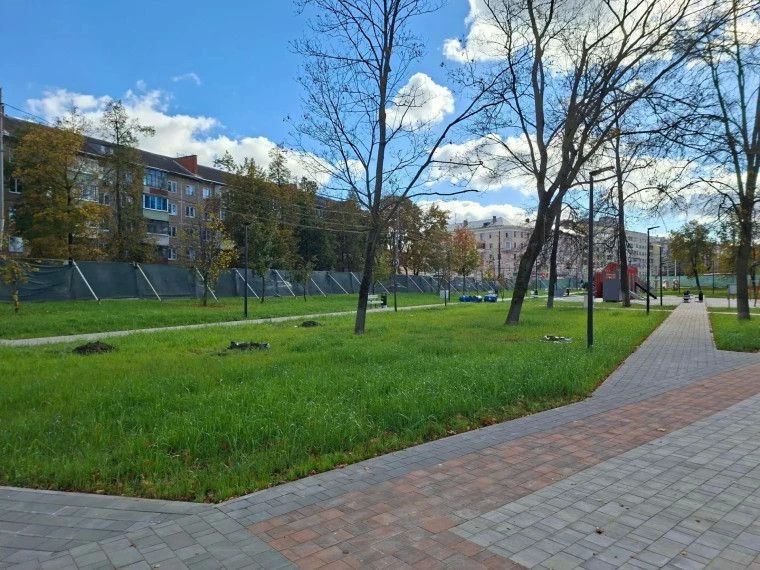 В тульском сквере "Встреча" высадят 25 деревьев В тульском сквере "Встреча" высадят 25 деревьев
