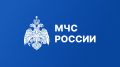 Оказание государственной услуги «Выдача заключения по результатам комплексных учений»