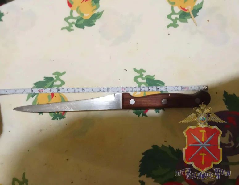 Ссора с матерью обернулась уголовным делом для новомосковца