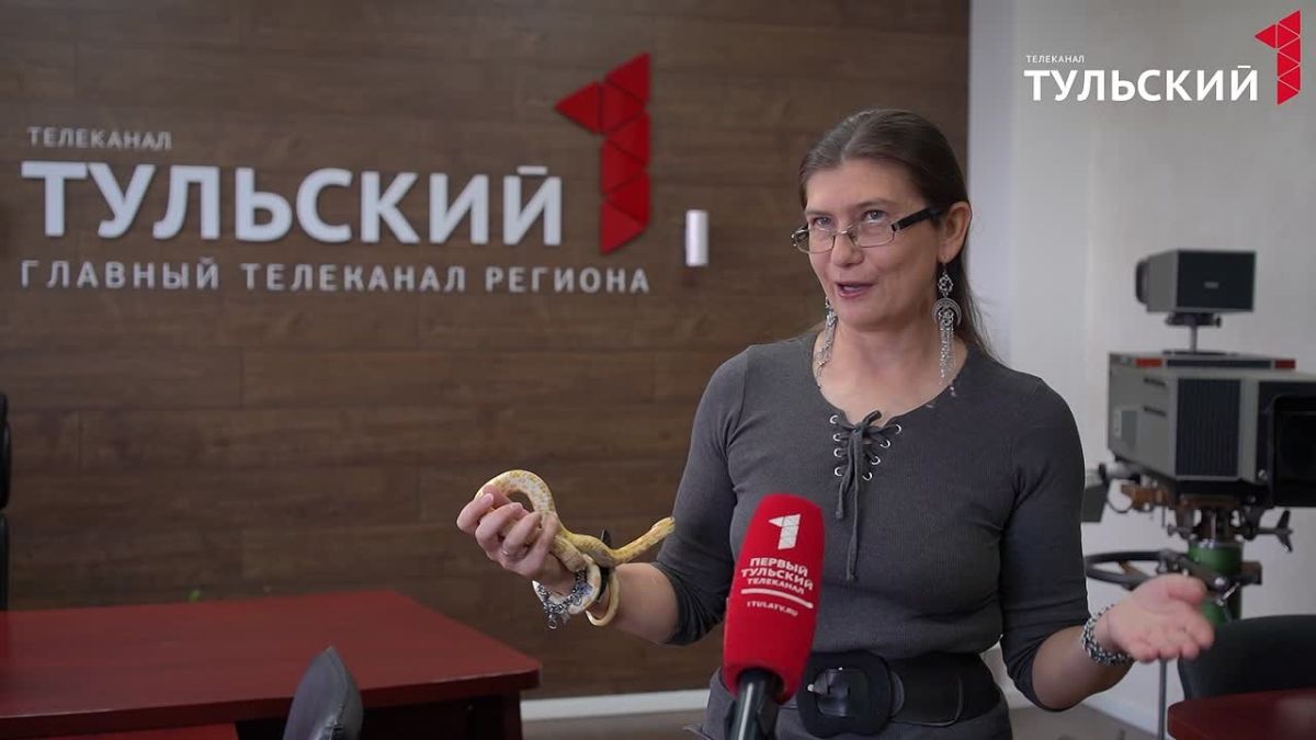 Каких рептилий нельзя держать дома?