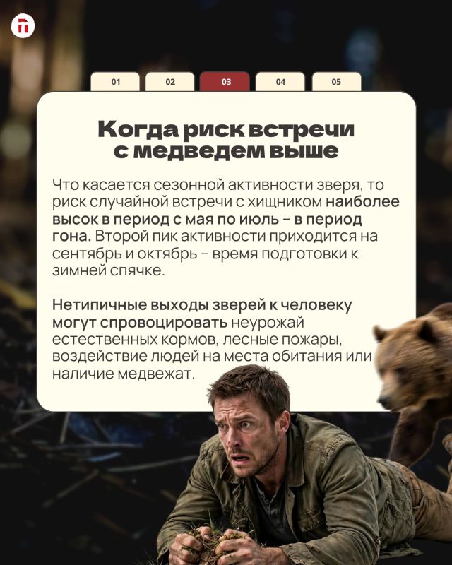 Косолапая угроза: где в Тульской области реально стоит бояться медведей, а где можно спокойно собирать грибы Косолапая угроза: где в Тульской области реально стоит бояться медведей, а где можно спокойно собирать грибы