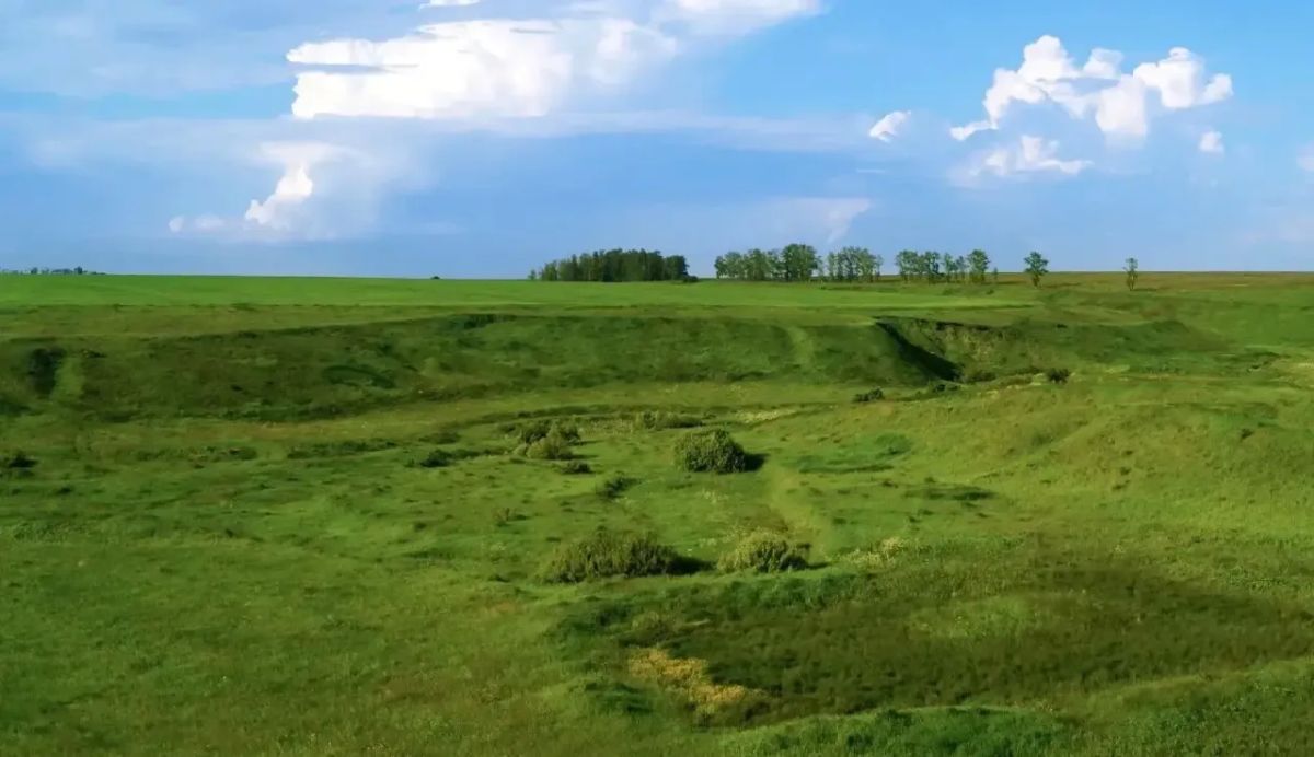 Дмитрий Миляев: #Красотародногокрая. Балка Березовая Дмитрий Миляев: #Красотародногокрая. Балка Березовая